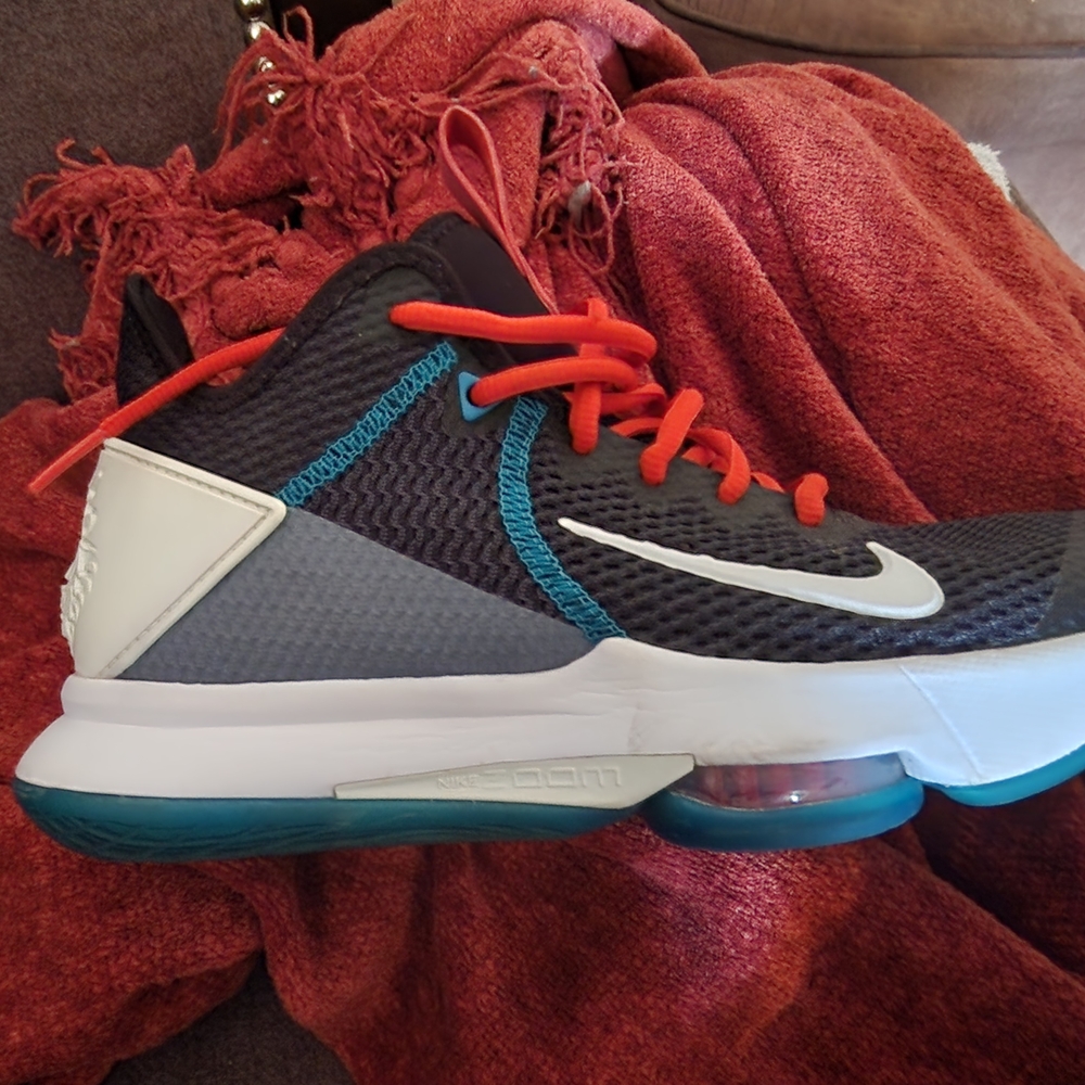 Nike Lebron Witness IV(4) Shoes
